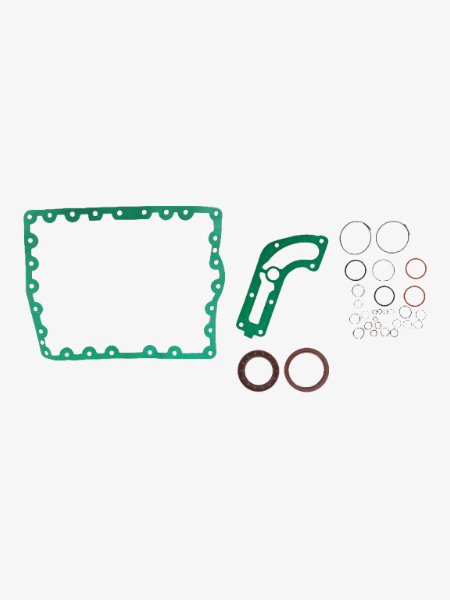 Kit Vedação Transmissão Hyster H55FT